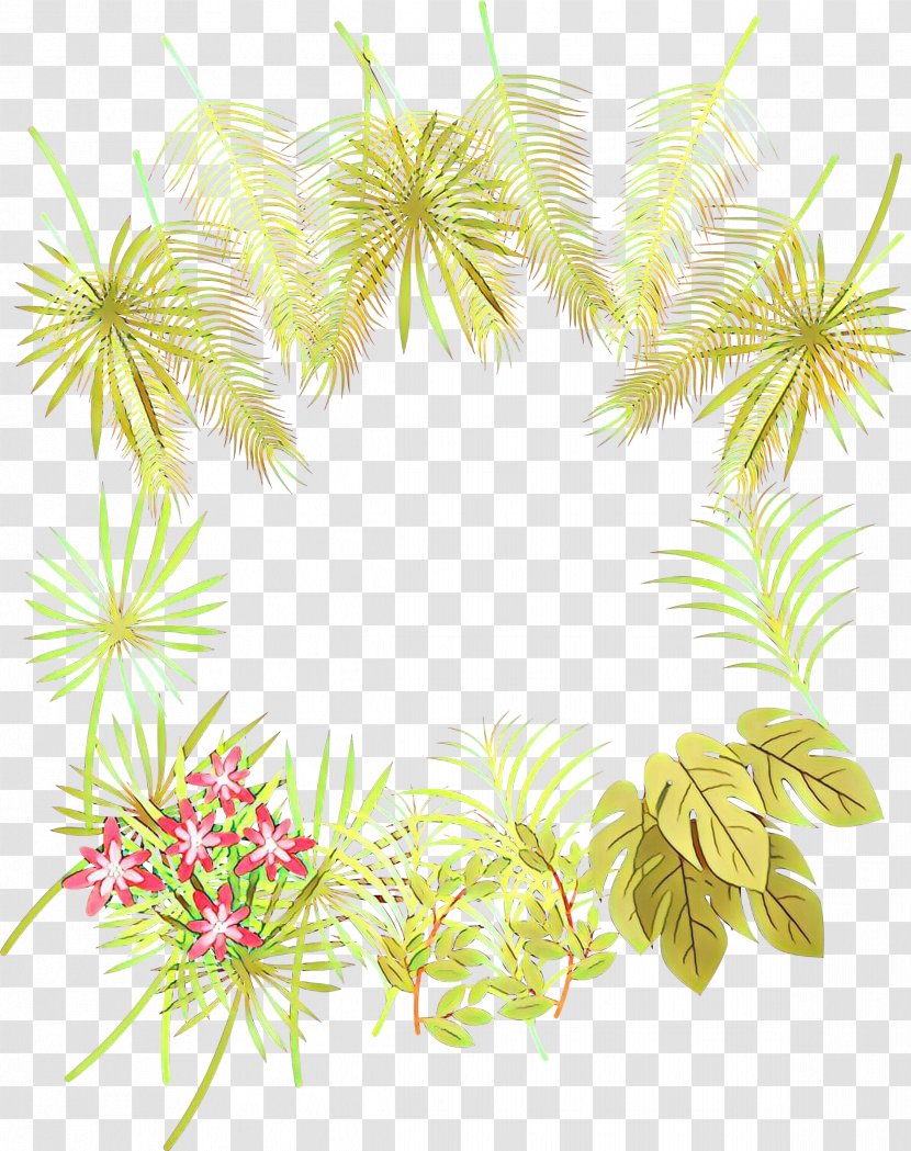 Palm Tree Background - Pine Transparent PNG
