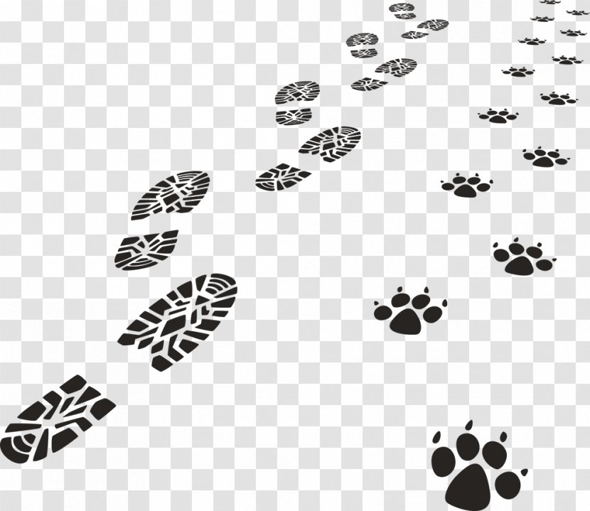 Footprint Paw Animal Track Royalty-free - Monochrome Photography - Point Transparent PNG