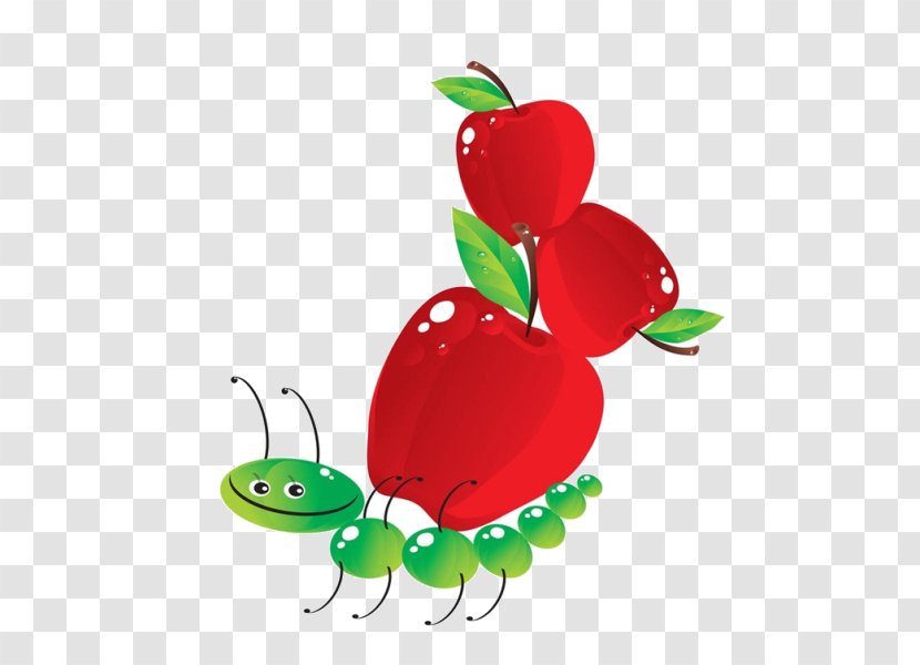Stock Photography Illustration Royalty-free Clip Art - Love - Cartoon Apple Bugs Transparent PNG