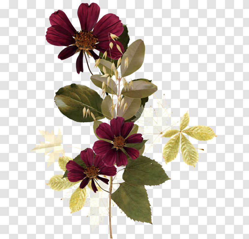 Download Cut Flowers - Flower Transparent PNG