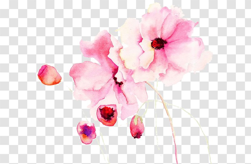 Watercolour Flowers Watercolor Painting Stock Photography Royalty-free - Spring Transparent PNG