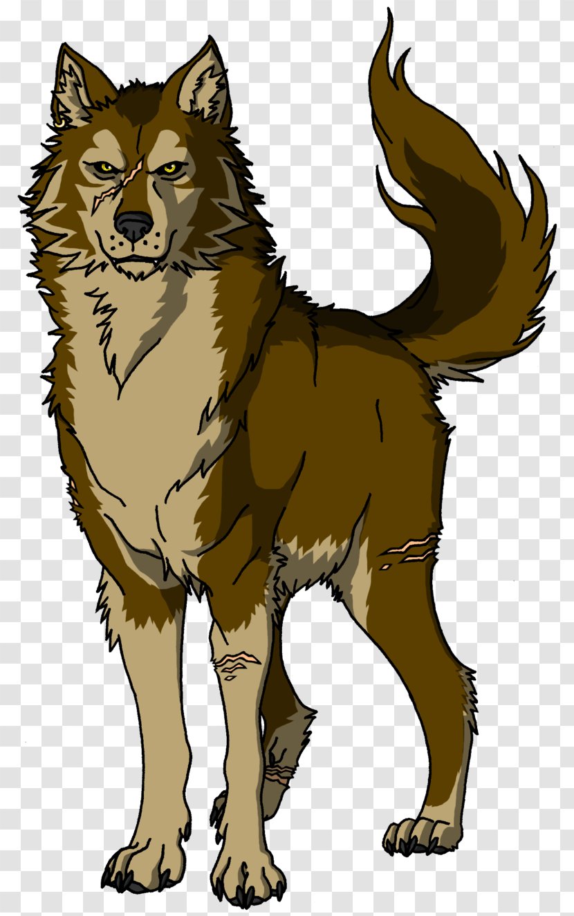 Dog Puppy Drawing Red Wolf - Cartoon Transparent PNG