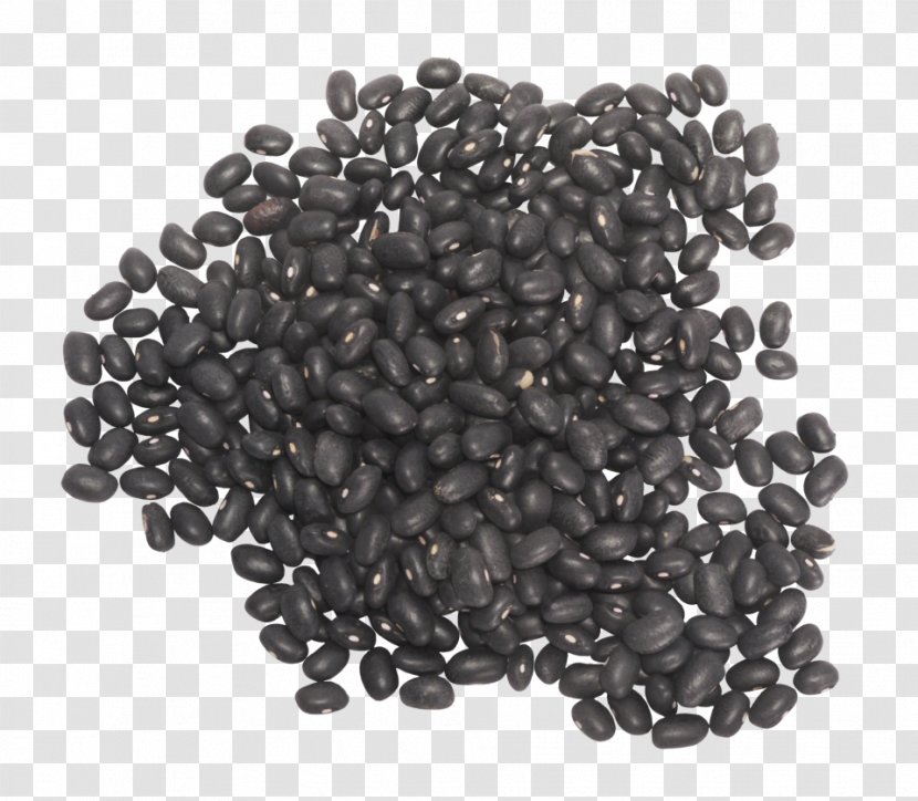 Water Softening Lush Activated Carbon Nanotechnology - Black Beans Transparent PNG