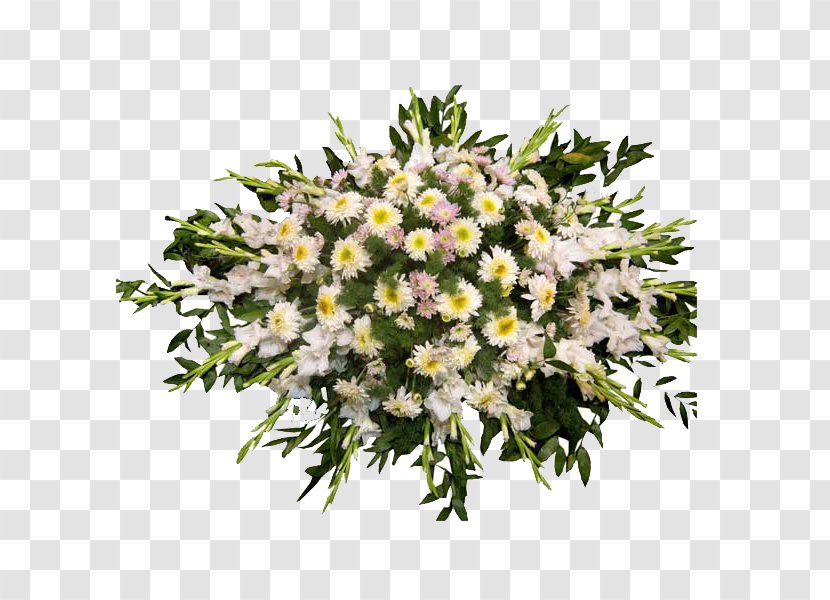 Floral Design Cut Flowers Flower Bouquet Aster Transparent PNG