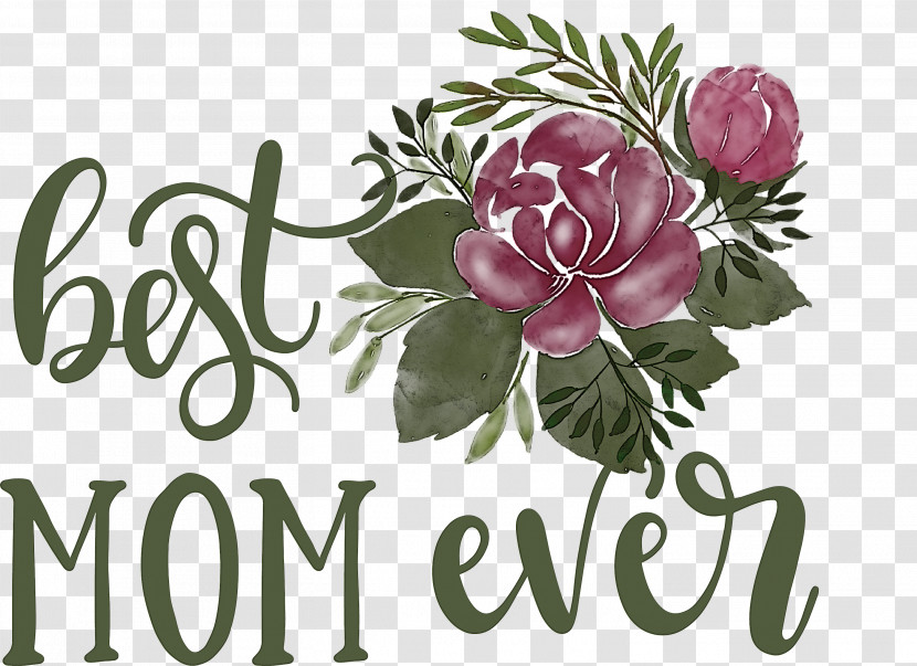 Mothers Day Best Mom Ever Mothers Day Quote Transparent PNG