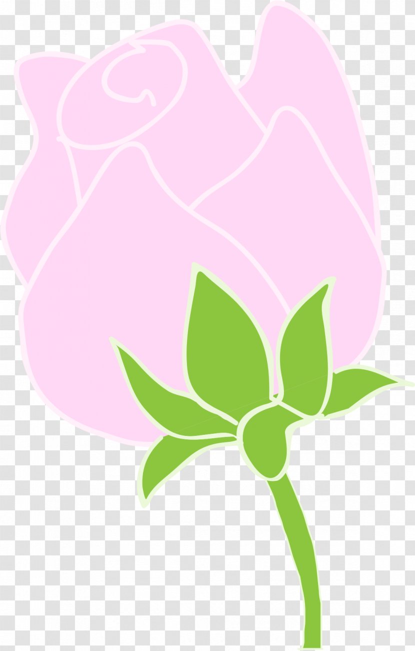 Rosaceae Floral Design Petal Clip Art - Seed Plant - Roses Transparent PNG