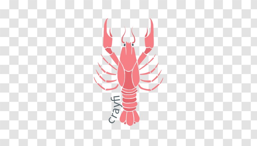 Seafood Crab Oyster Illustration - Silhouette - Lobster Transparent PNG