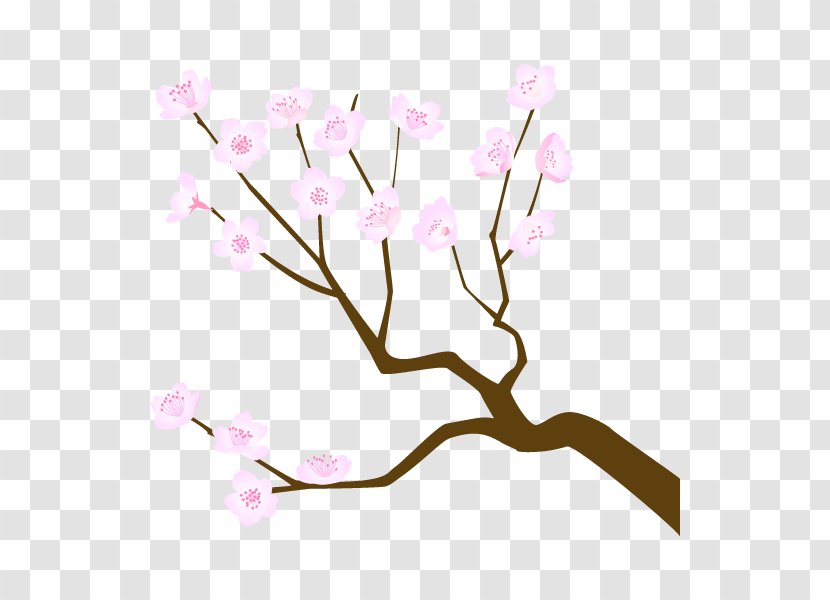 Cherry Blossom Flower ST.AU.150 MIN.V.UNC.NR AD Floral Design - Cherries Transparent PNG