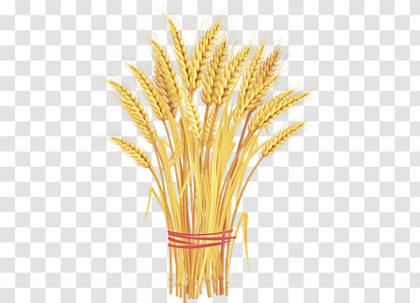 Wheat Transparent PNG