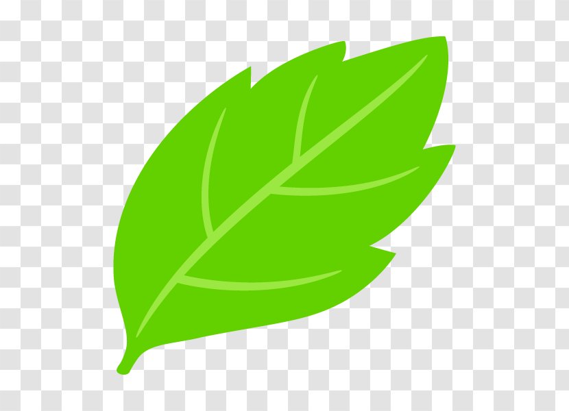 Leaf Illustration Plants Graphics Lawyer - Plant Transparent PNG