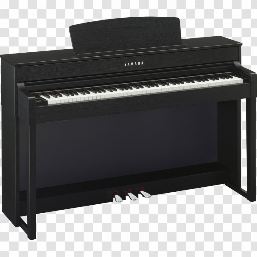 Clavinova Digital Piano Yamaha Corporation AvantGrand - Cartoon Transparent PNG