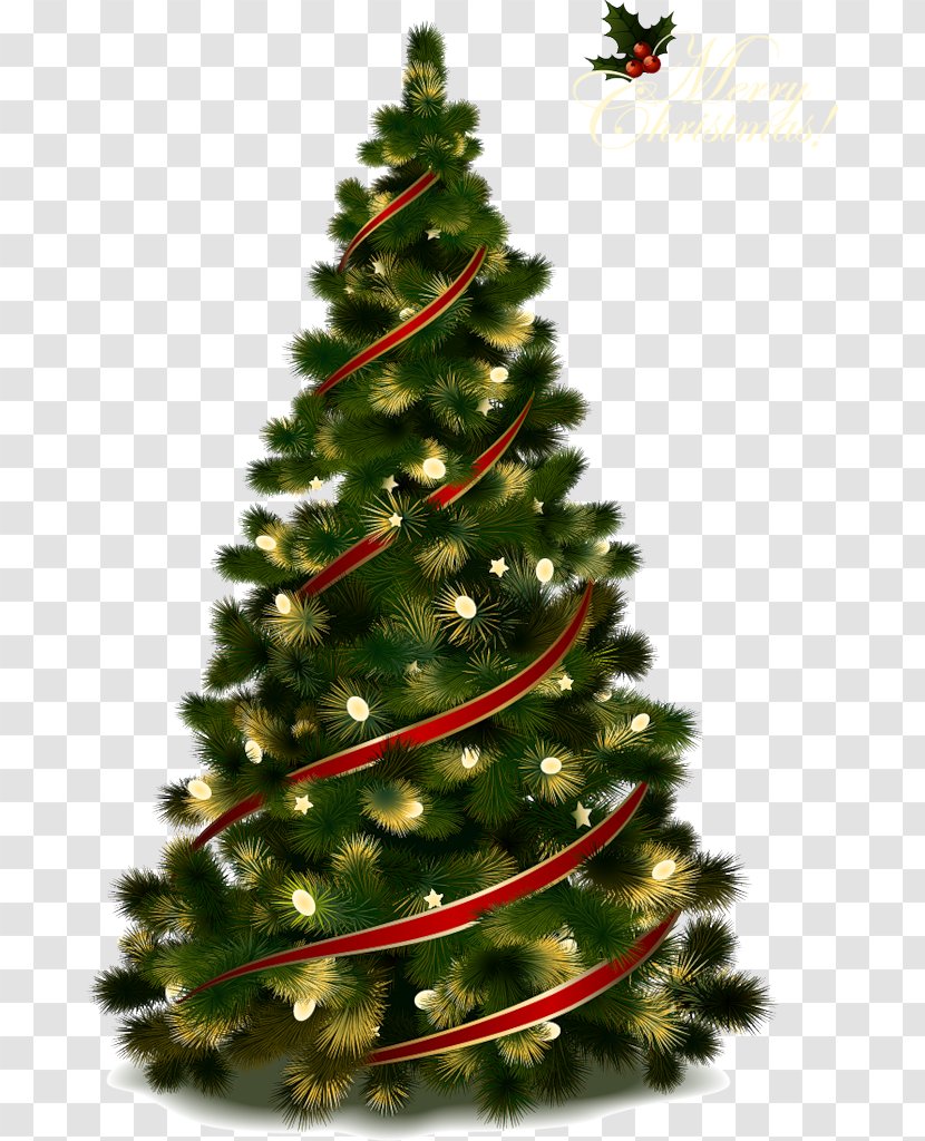 Christmas Tree Clip Art - Holiday Transparent PNG