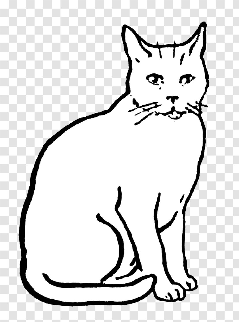 Cat Drawing Line Art Clip - Wild Transparent PNG