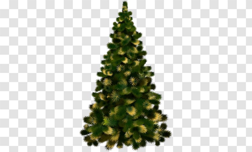 Christmas Tree Ornament Clip Art - Conifer Transparent PNG