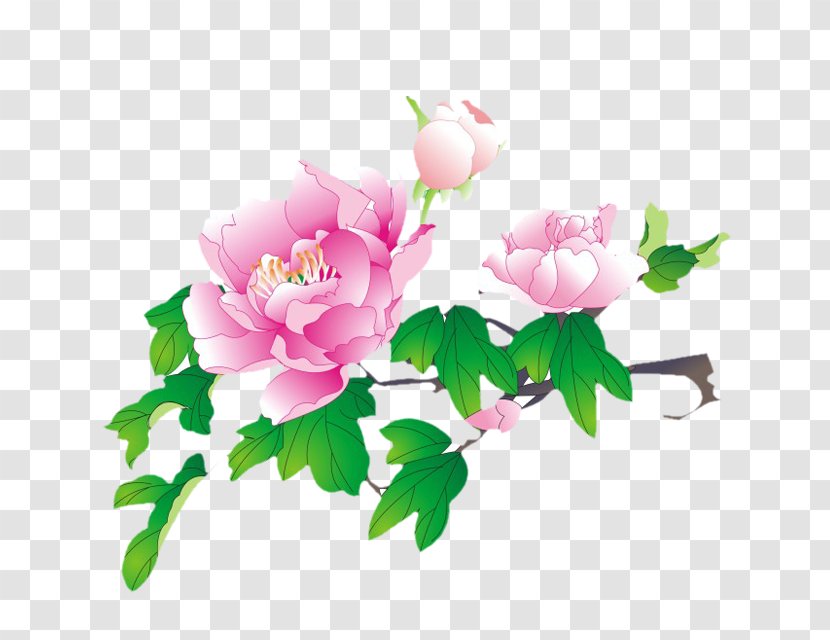 Moutan Peony Watercolor Painting Drawing - Hand-painted Transparent PNG