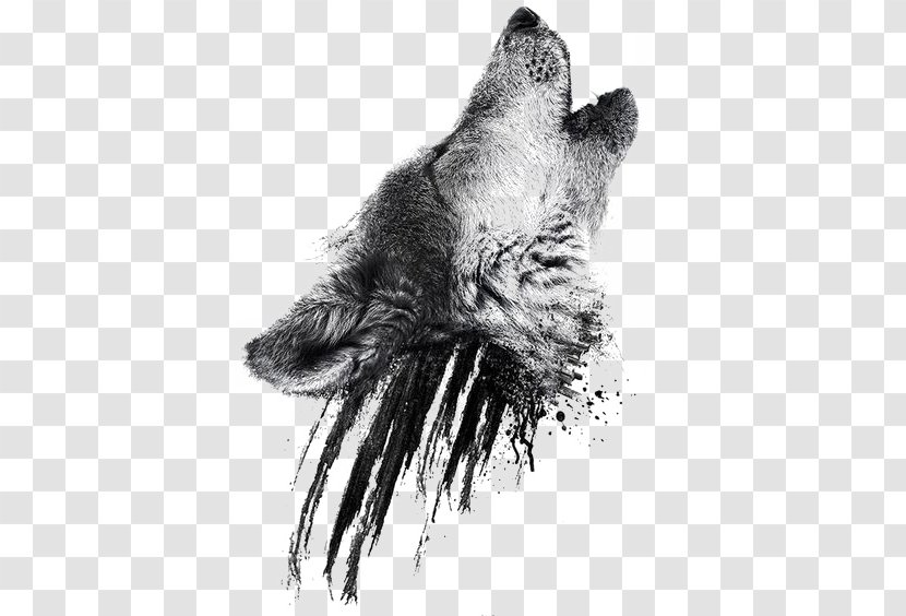 Gray Wolf Sleeve Tattoo Isaac Lahey Jack London - Stock Photography - White Fang: 