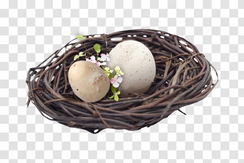 Bird Nest Egg Easter - Basket Transparent PNG