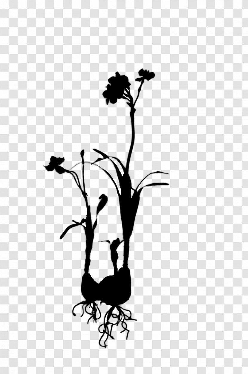 Twig Plant Stem Illustration Flower Clip Art - Blackandwhite - Monochrome Transparent PNG