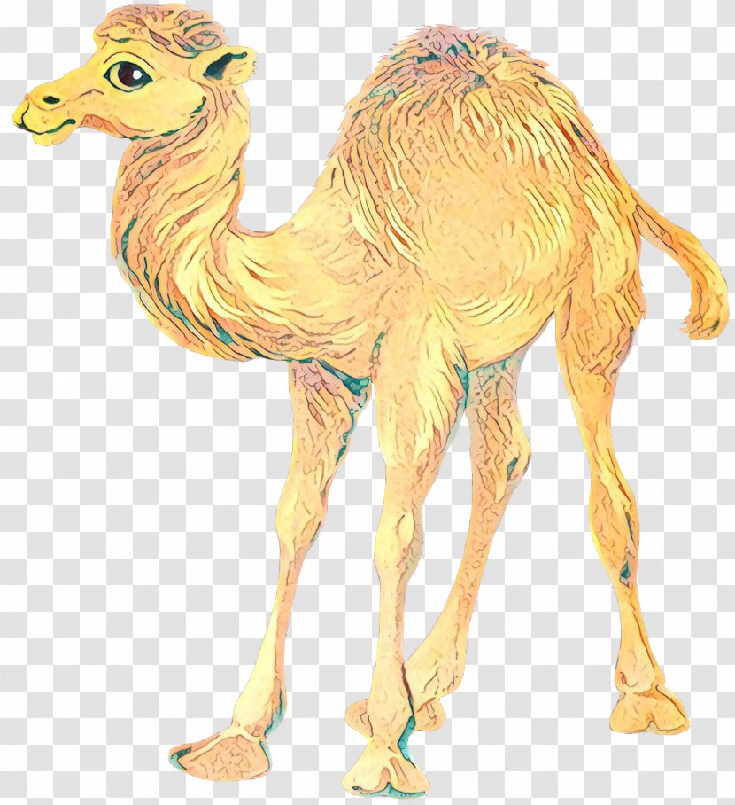 Bactrian Camel Dromedary Clip Art Drawing - Train Transparent PNG