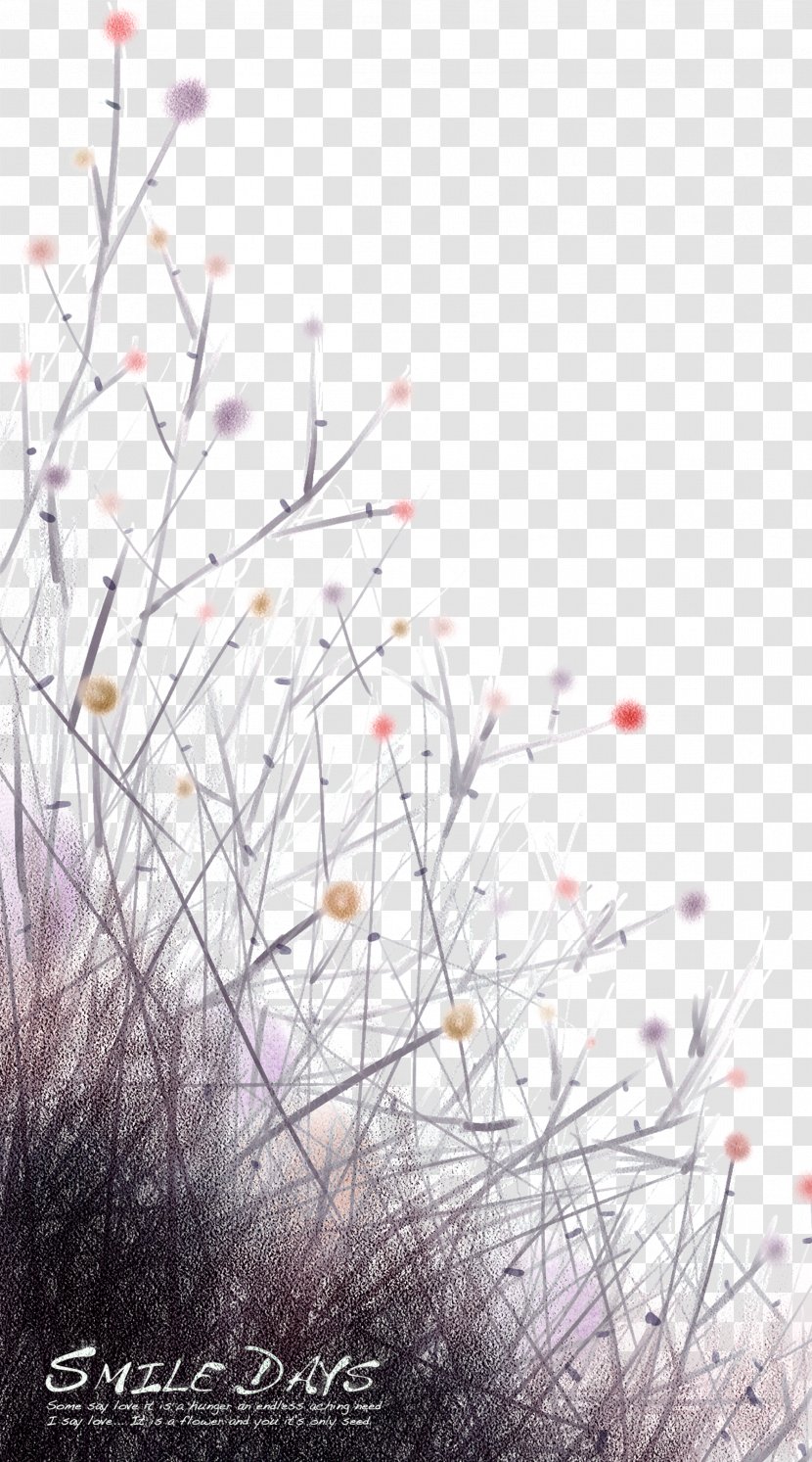 Download Illustration - Spring - Abstract Floral Motifs Transparent PNG