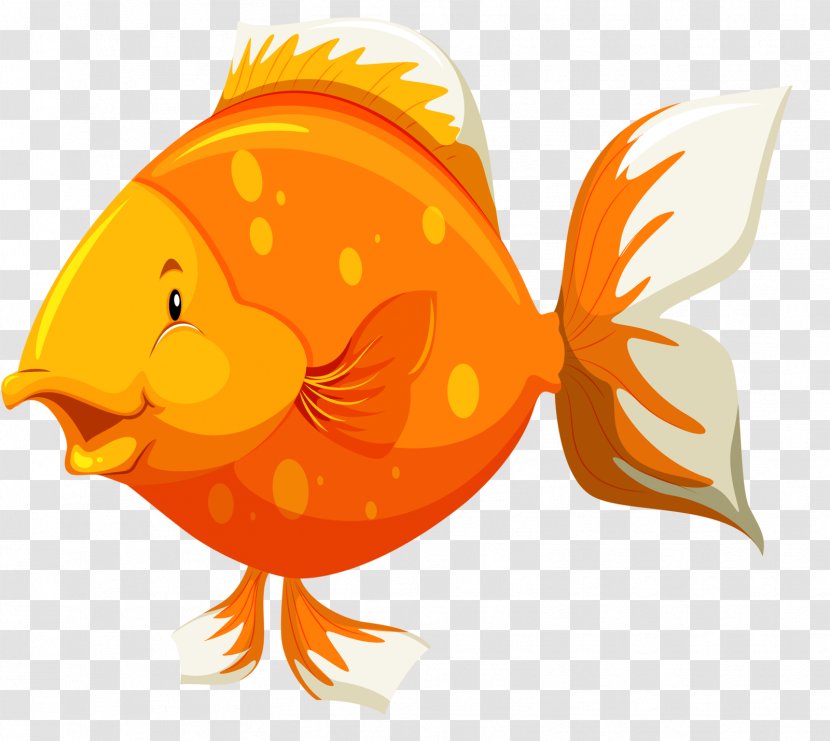 Fish Anatomy Vector Graphics Clip Art Human Body - Heart Transparent PNG