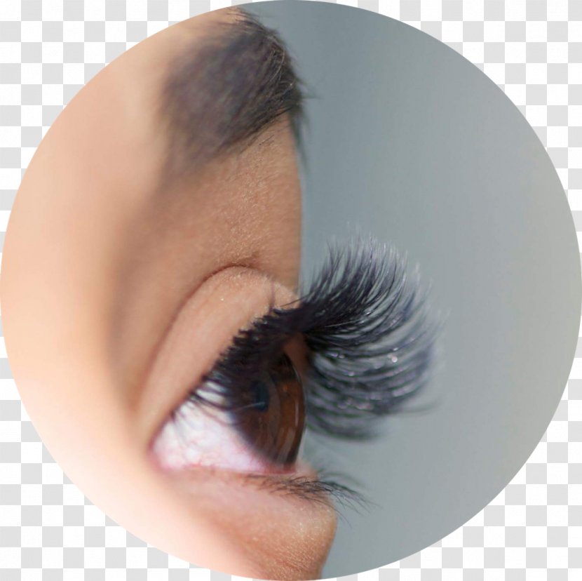Eyelash Extensions Training Eye Shadow Artificial Hair Integrations - Cosmetics - Extension Transparent PNG