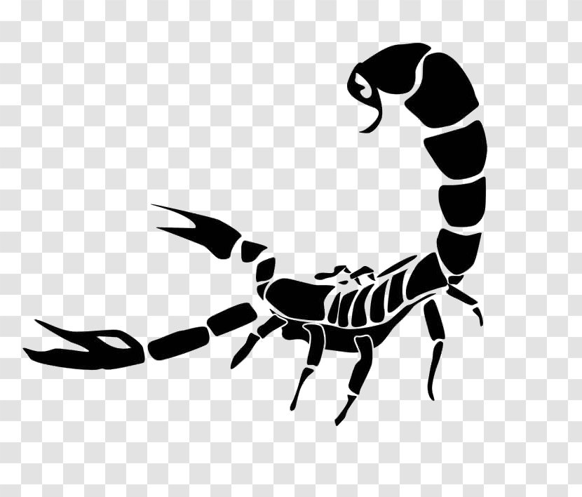 Scorpion Clip Art Transparency - Invertebrate - Tattoo Transparent PNG