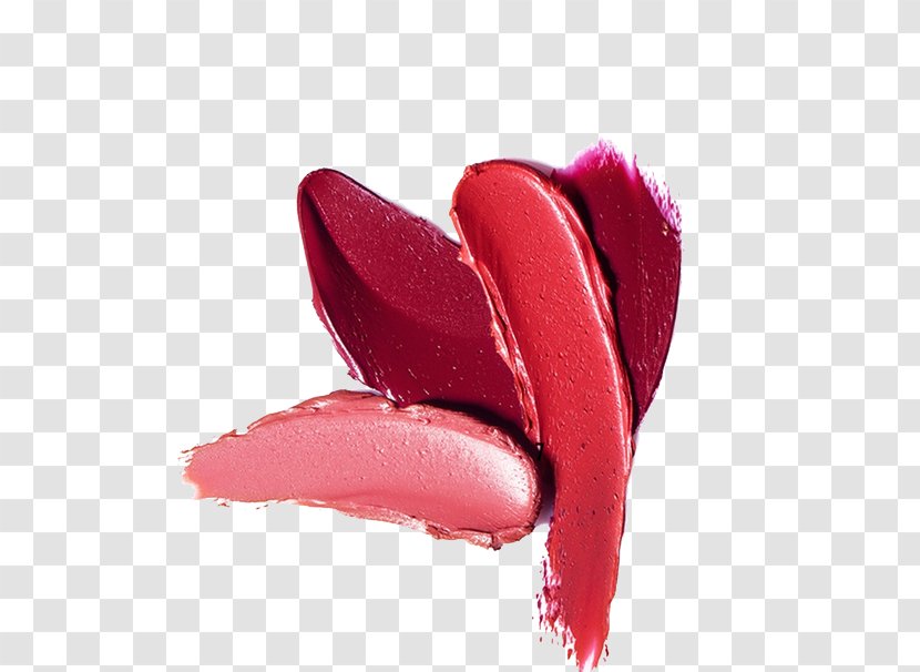 Lipstick Color Red Orange Cosmetics Transparent PNG