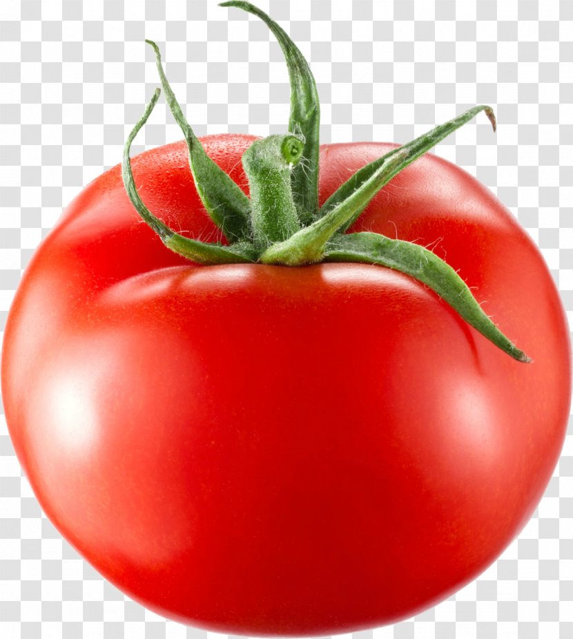 Italian Cuisine Vinaigrette Stock Photography Cherry Tomato Vegetable - Bell Pepper Transparent PNG