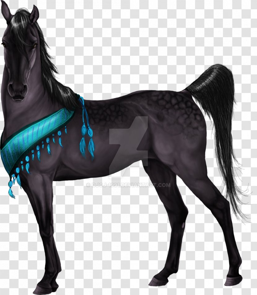 Howrse Arabian Horse Thoroughbred Riding Orlov Trotter - Mane Transparent PNG