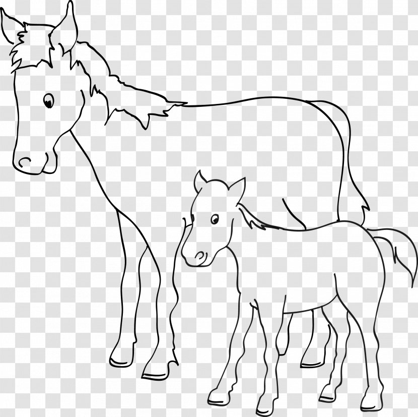 Mule Foal Horse Coloring Book Pony - Organism Transparent PNG