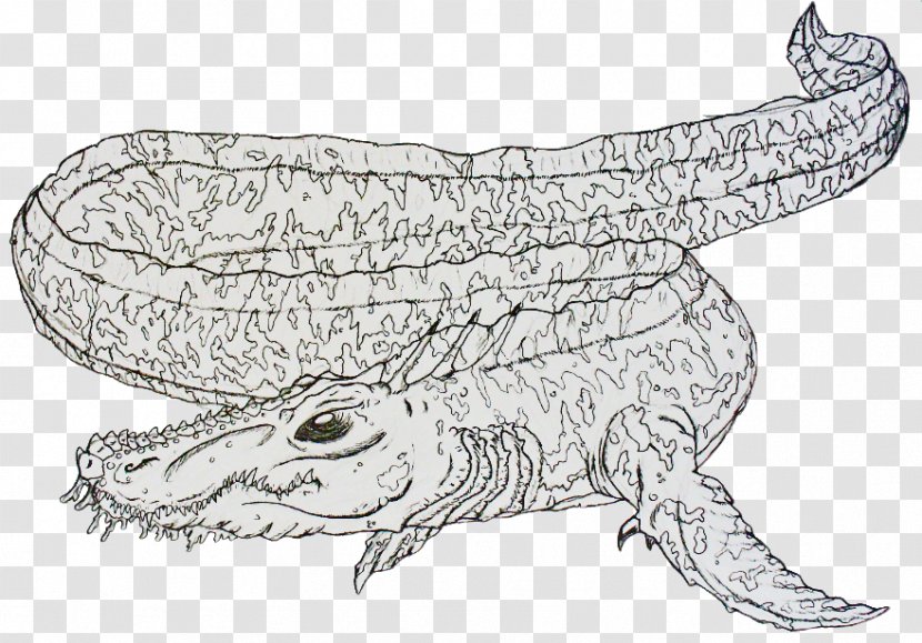 Crocodile Alligators Animal Toad Wildlife - Drawing Transparent PNG