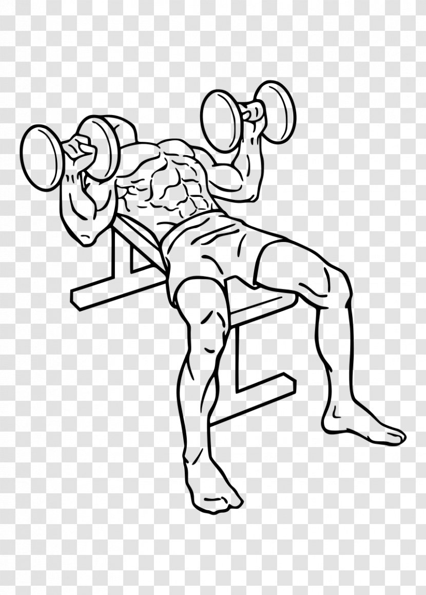 Bench Press Dumbbell Barbell Weight Training - Silhouette Transparent PNG