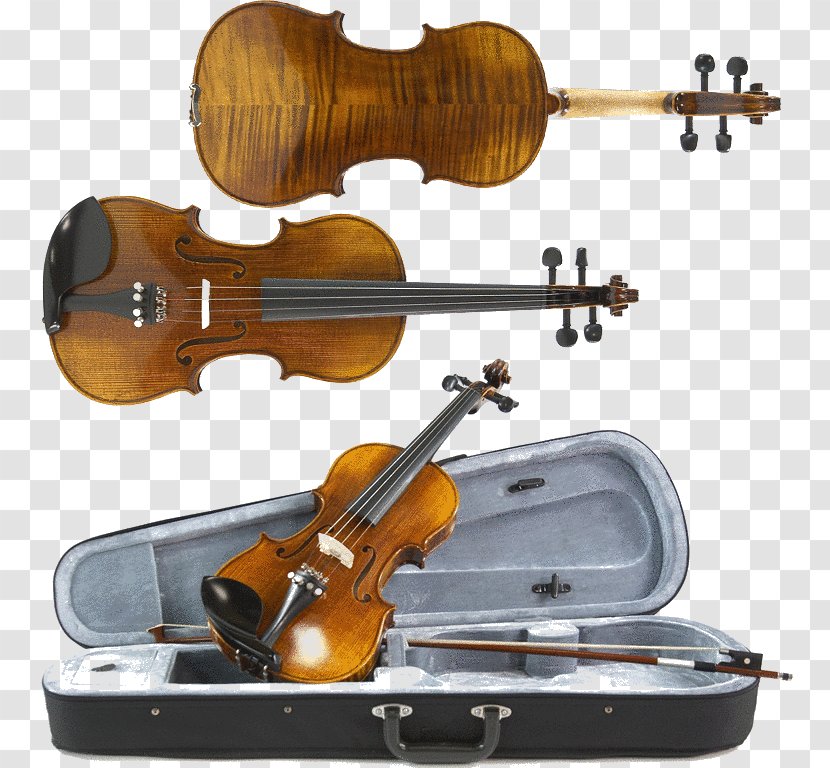 Bass Violin Violone Viola Fiddle - Guitar Transparent PNG