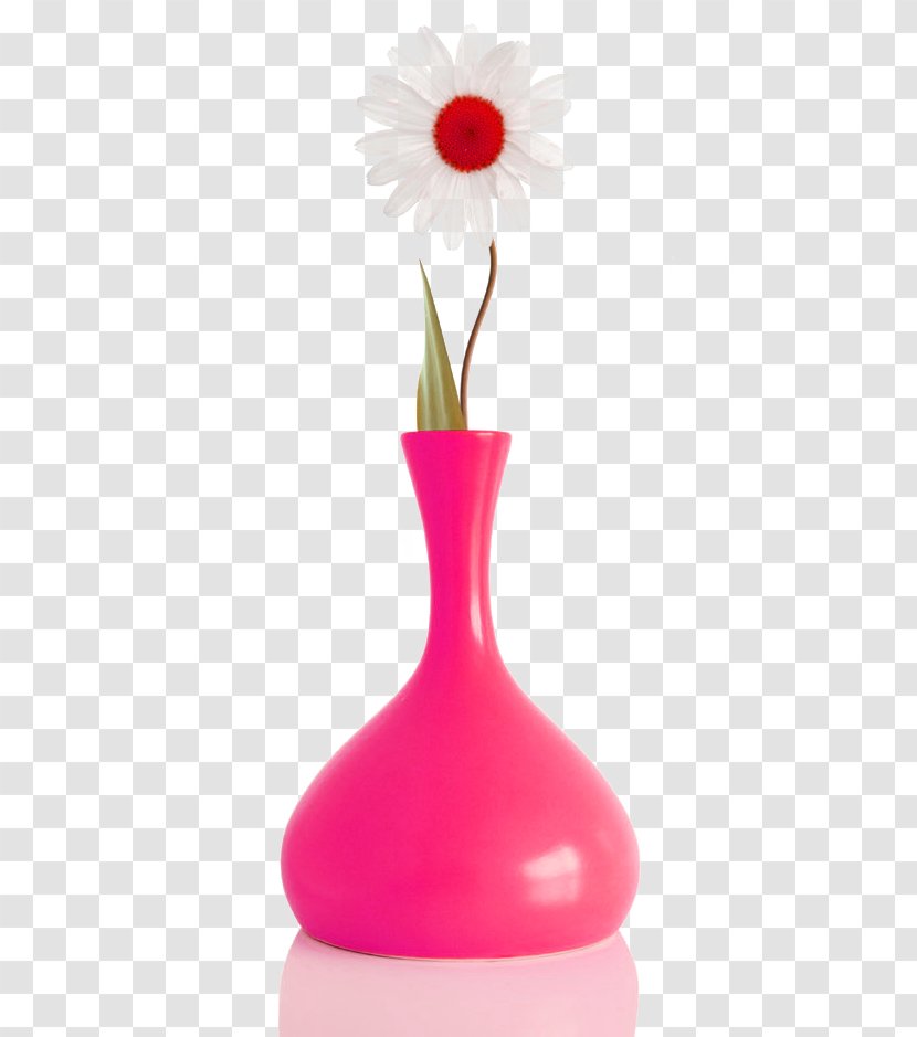 Vase Still Life Photography Petal - Pink - White Flower Transparent PNG