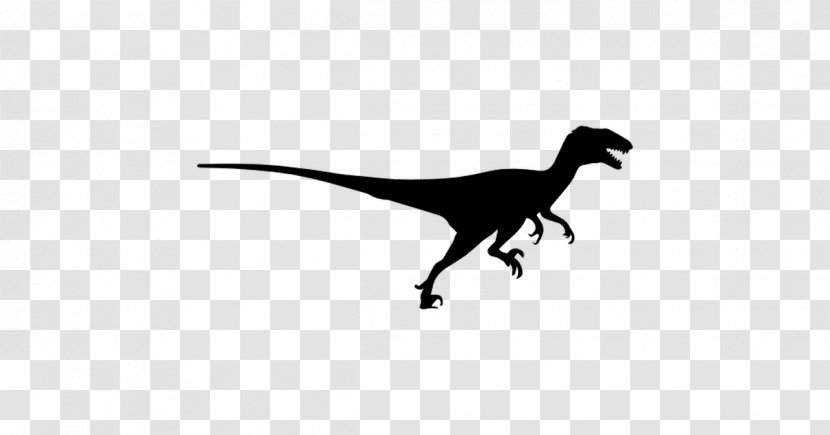 Velociraptor Tyrannosaurus Dinosaur Jewellery Black - Necklace Transparent PNG