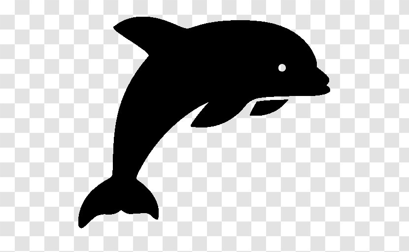 Porpoise Common Bottlenose Dolphin Tucuxi - Marine Mammal Transparent PNG