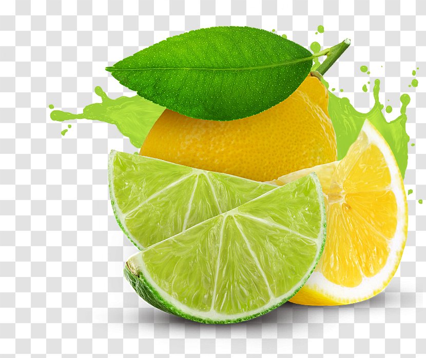 Lemon-lime Drink Juice Key Lime - Liquid - Lemon Transparent PNG
