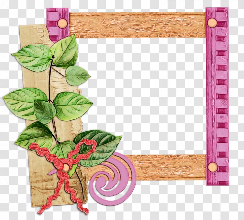 Picture Frames Pink M Product Floral Design Rectangle - Plant Transparent PNG