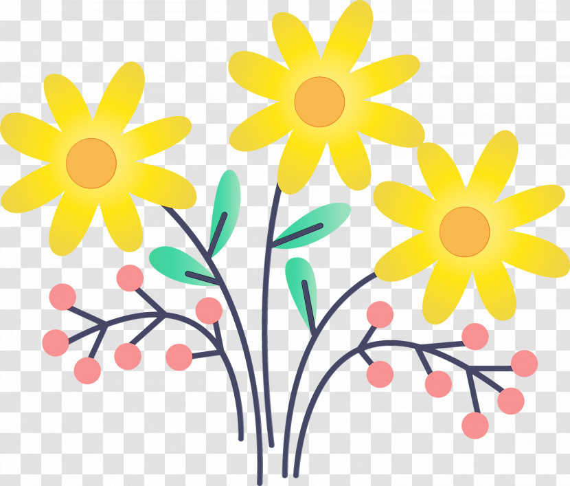 Yellow Flower Chamomile Wildflower Pedicel Transparent PNG
