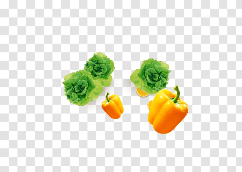 Bell Pepper Vegetable Chili Cabbage Transparent PNG