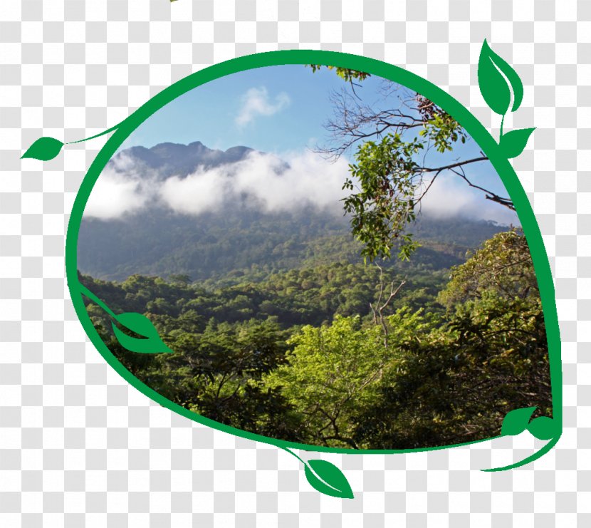 Tanzania: Travel Guide Ol Doinyo Lengai Mount Kilimanjaro Desktop Wallpaper Mountain - Grass Transparent PNG