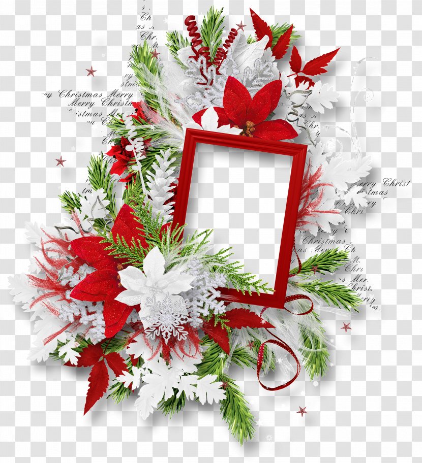 Christmas And New Year Background - Poinsettia Flower Arranging Transparent PNG