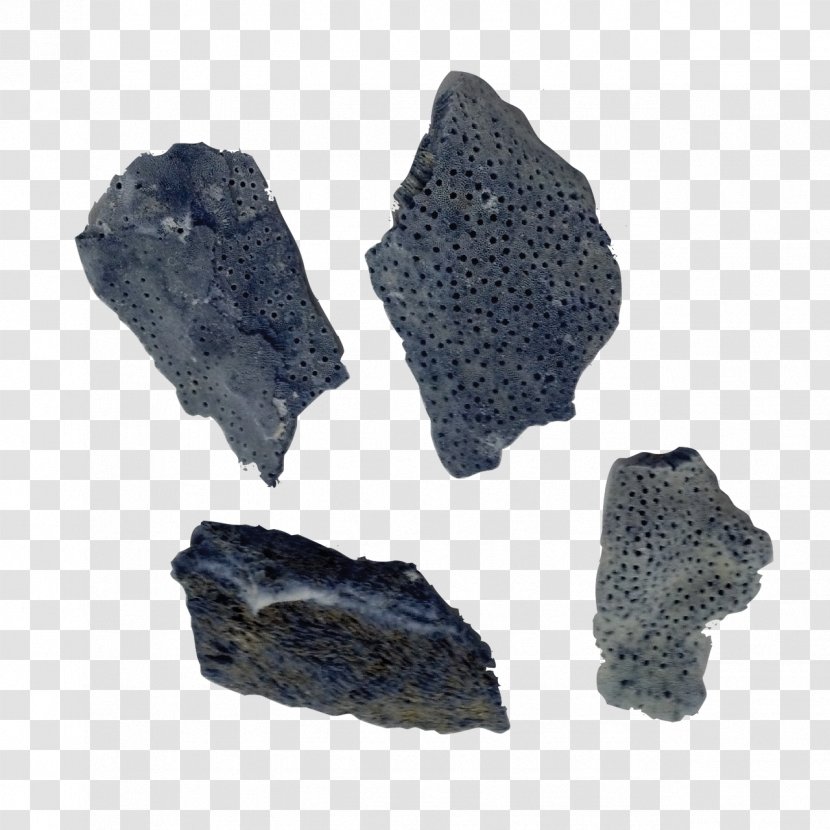Igneous Rock Mineral - Liver Fluke Transparent PNG