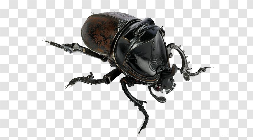 Insect Sculpture Metal Scrap Recycling - Repurposing - Black Beetle Transparent PNG