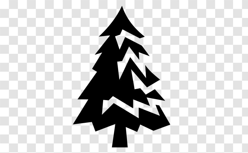 Pine Tree Symbol - Conifer Transparent PNG