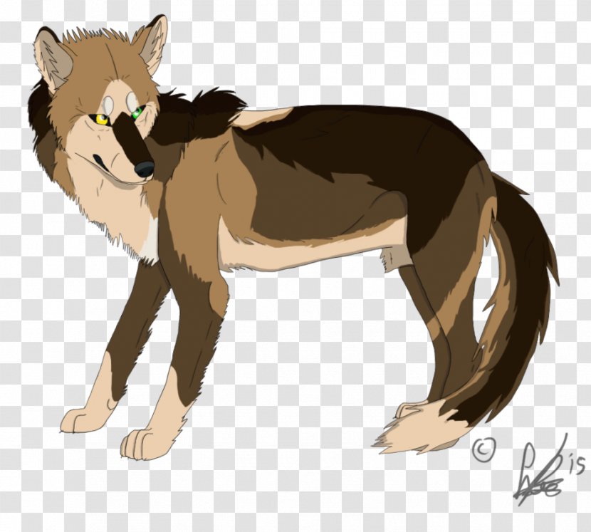 Cat Lion Red Fox Cougar Mammal - Small To Medium Sized Cats Transparent PNG