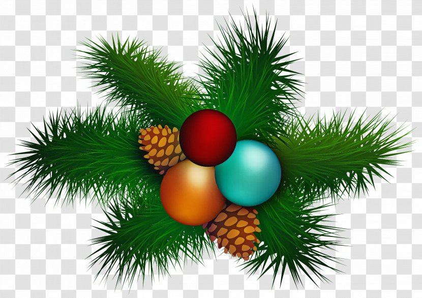 Christmas Tree - Pine Family Fir Transparent PNG