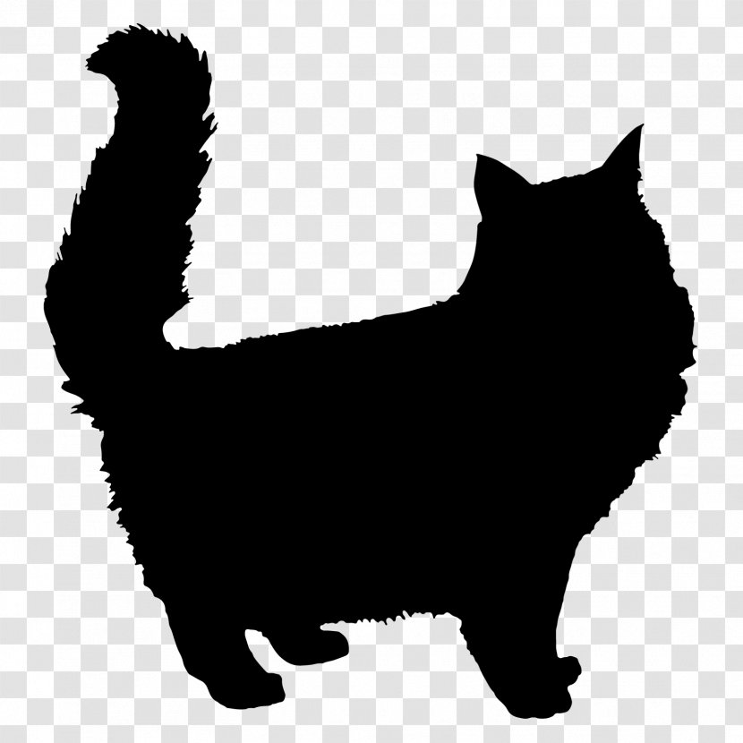 Kitten Persian Cat Maine Coon Clip Art - Like Mammal Transparent PNG