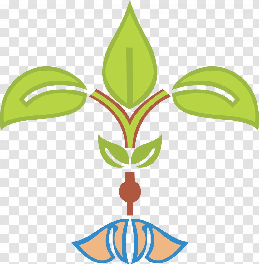 Leaf Plant Stem Tree - Artwork - Rangoli Transparent PNG